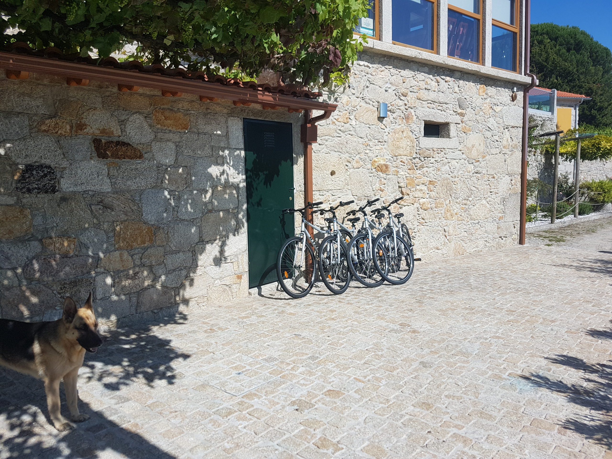 Bicicletas