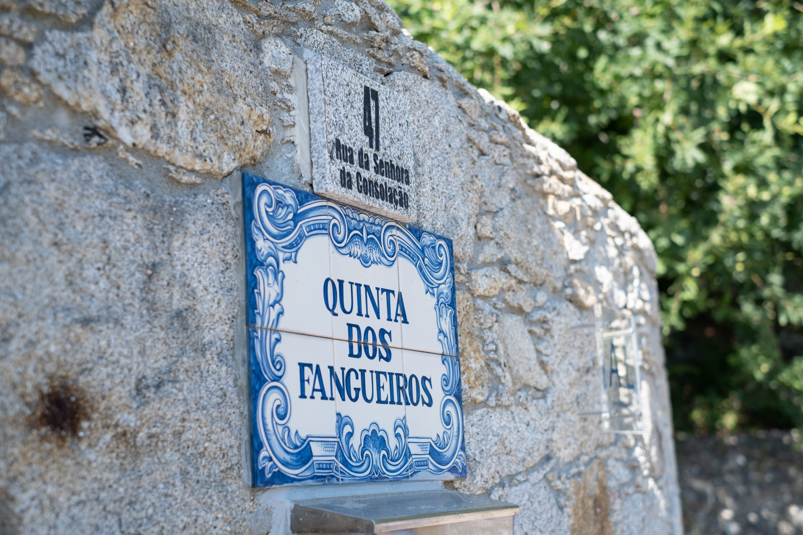 Placa Entrada