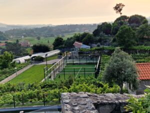Campo de Padel da Piscina